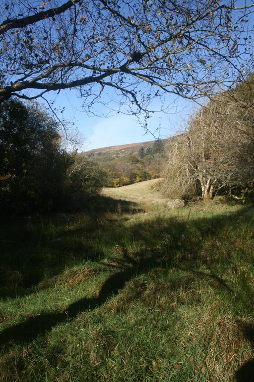 Laragh Mountain View Lodge Saggart Exterior photo